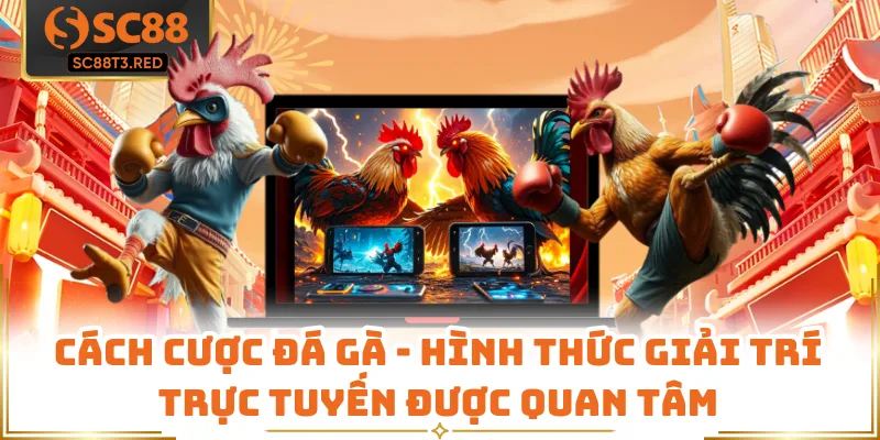 Cách Cược Đá Gà - Hình thức Giải trí Trực tuyến Được Quan Tâm