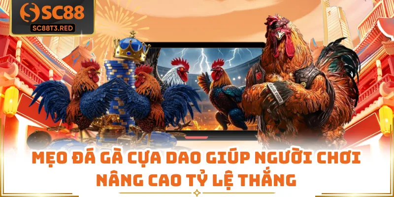 Mẹo Đá Gà Cựa Dao Giúp Người Chơi Nâng Cao Tỷ Lệ Thắng