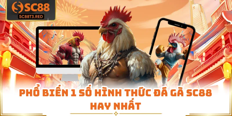 Phổ biến 1 số hình thức đá gà SC88 hay nhất